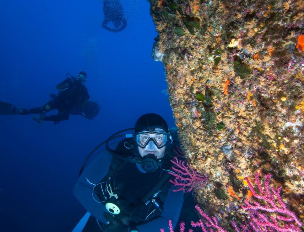diving - immersione in parete 