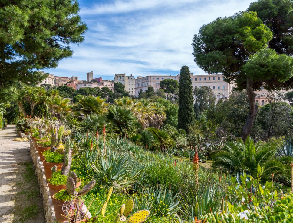 Orto botanico - Cagliari