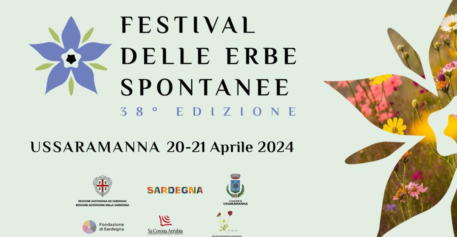 Festival delle Erbe Spontanee_banner