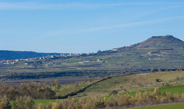 Veduta panoramica - Genoni