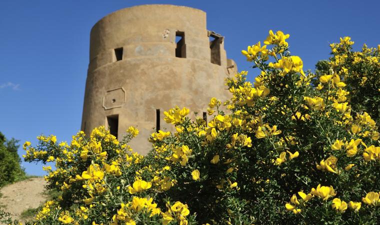 Tertenia, torre Sarrala