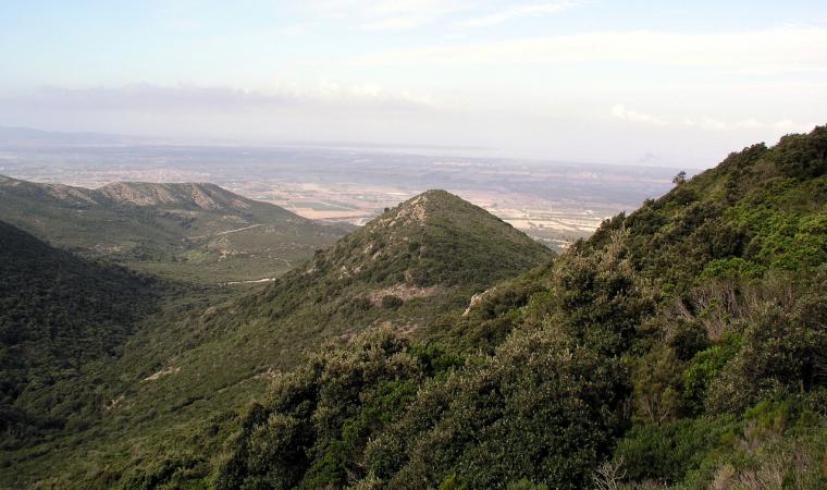 Parco Regionale Naturale del Monte Arci