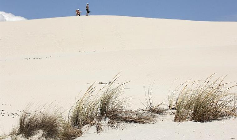 Dune di Porto Pino