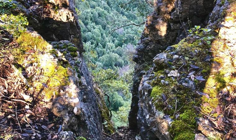 Gola valle Flunedosa - foresta Corongia - Sentiero Is Breccas - Gadoni