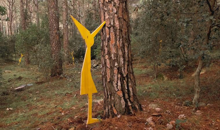 organica_sentiero organica_sentiero