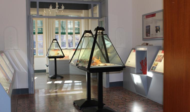 Museo del Corallo - Alghero