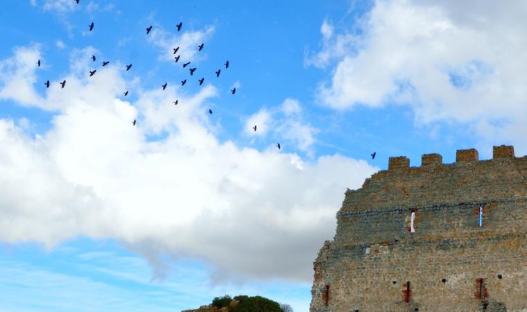 Castello Acquafredda - Siliqua