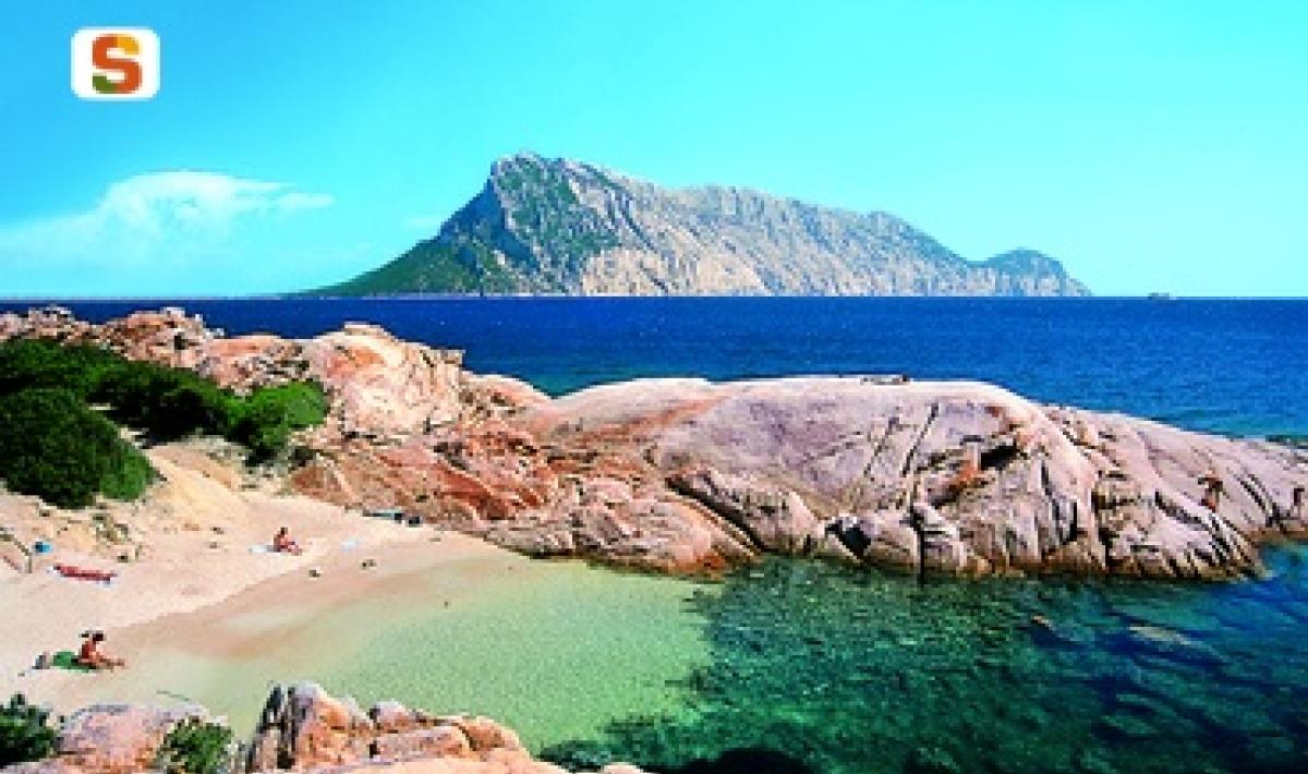 Punta Molara Sardegnaturismo Sito Ufficiale Del Turismo