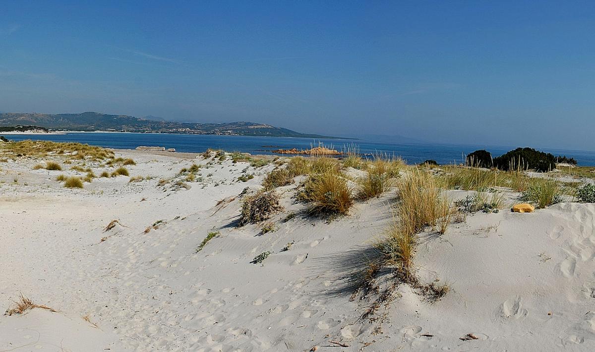 Capo Comino Sardegnaturismo Sito Ufficiale Del Turismo