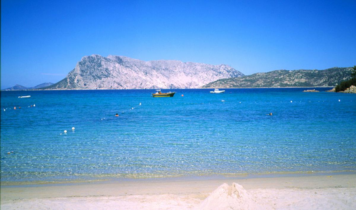 Le Farfalle Cala Suaraccia Sardegnaturismo Sito