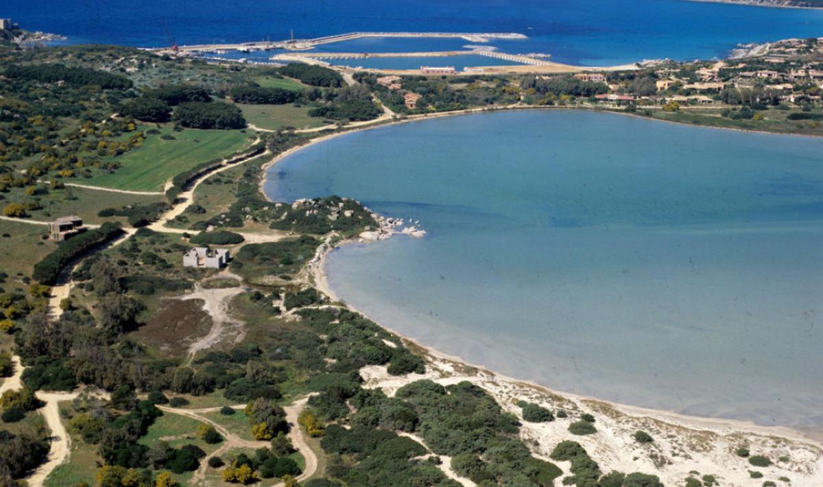 Costa Rei Parcheggia Il Fuoristrada In Spiaggia Multato