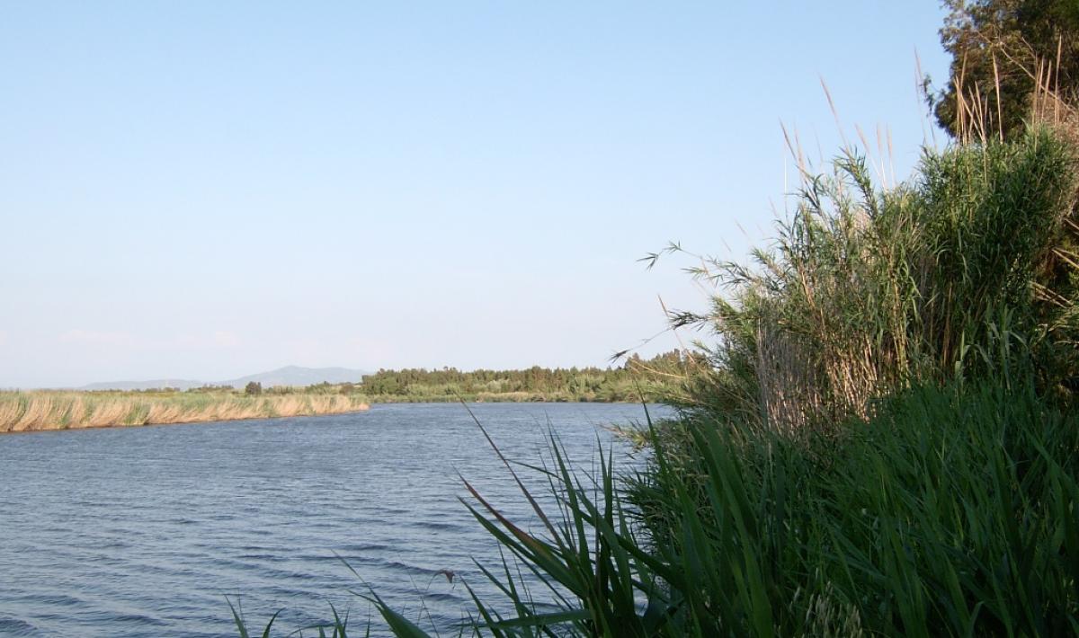 Riu Mare Foghe - Baratili