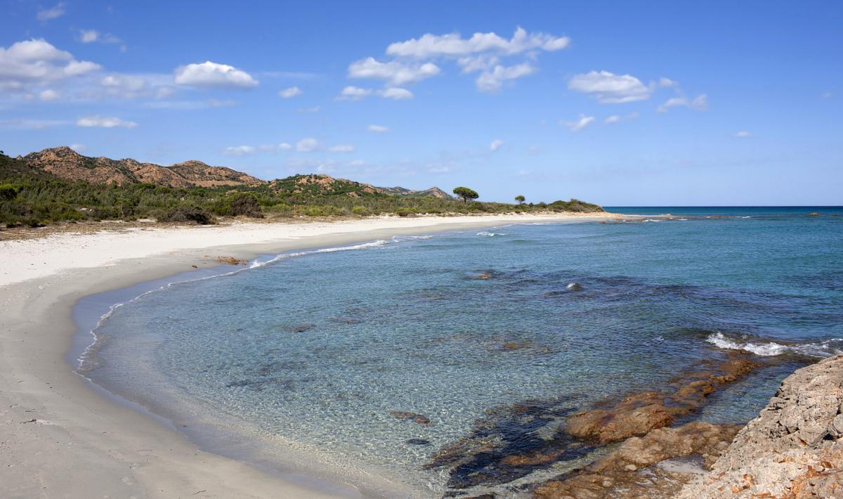 Oasi Di Bidderosa Sardegnaturismo Sito Ufficiale Del