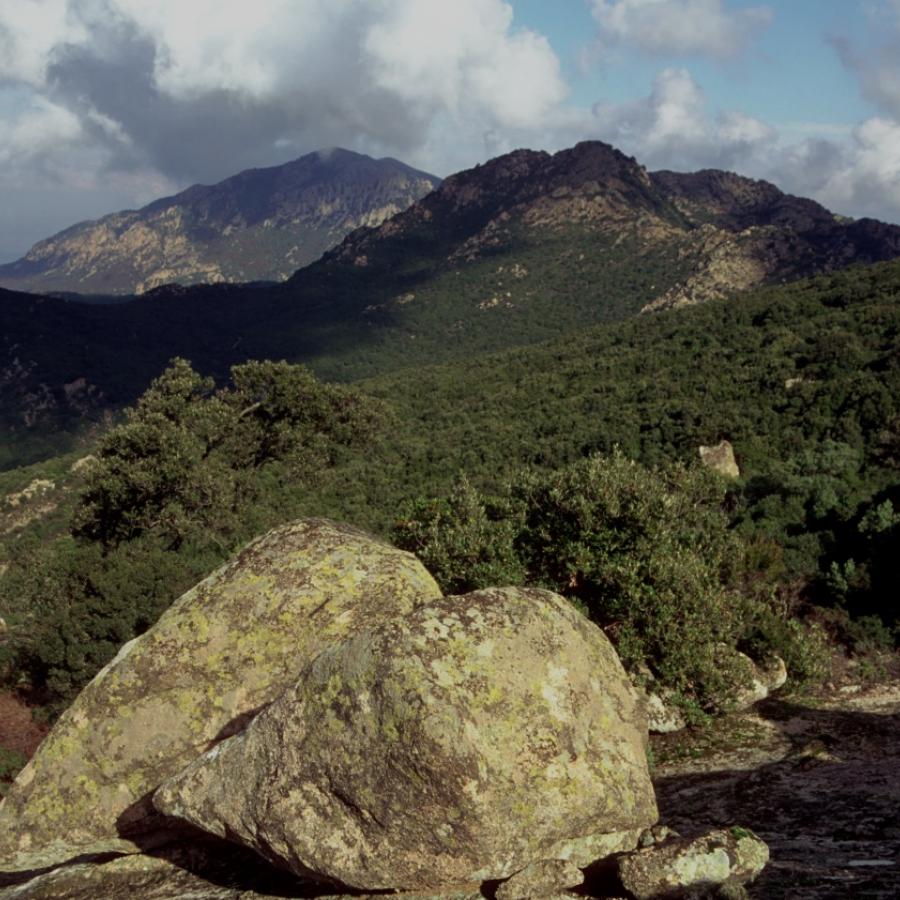  Monte Arcosu - Oasi del WWF 