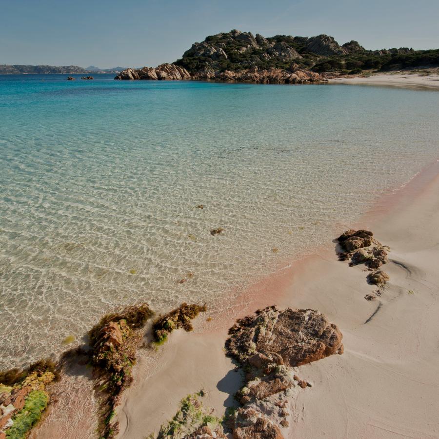 Spiaggia rosa - Isola di Budelli
