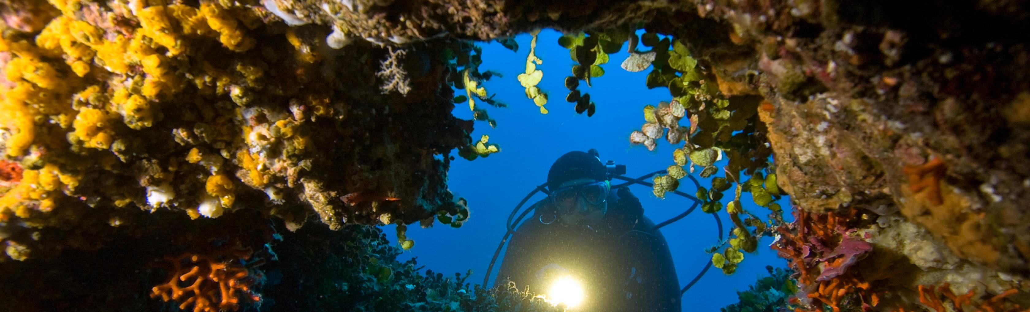 Diving in Sardegna